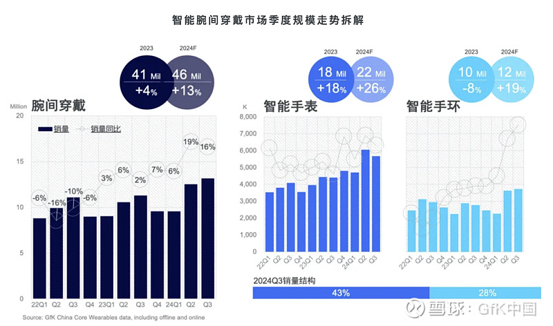 2024年中国成人及儿童腕间穿戴市场分析(图1)