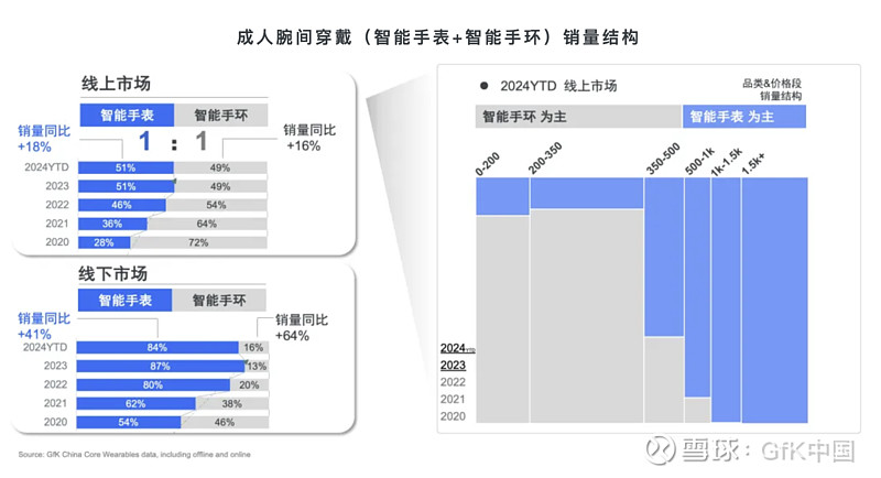 2024年中国成人及儿童腕间穿戴市场分析(图2)